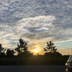 Meet your Posher, Corinne